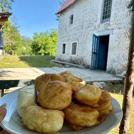 Nika & Camp Lekaj